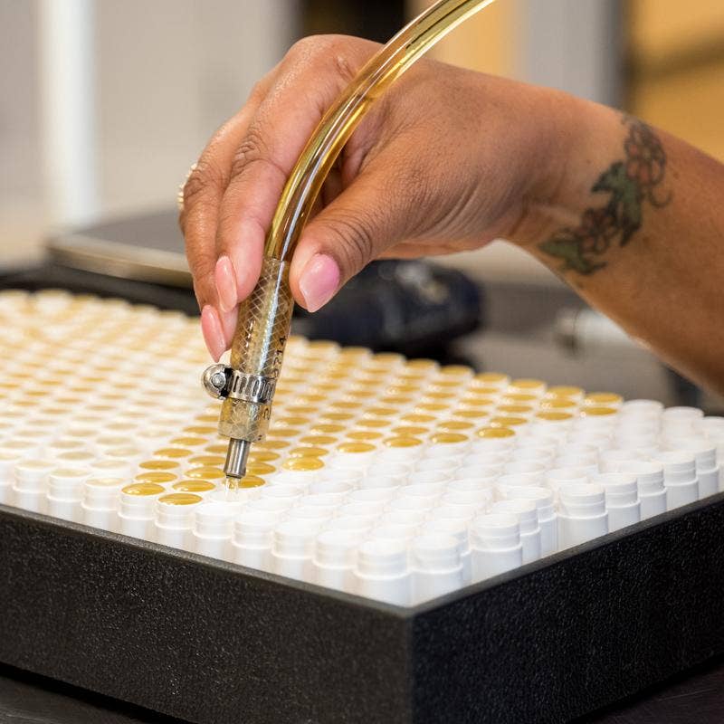 Lip Balm | Lavender, Tea Tree Mint, Unscented